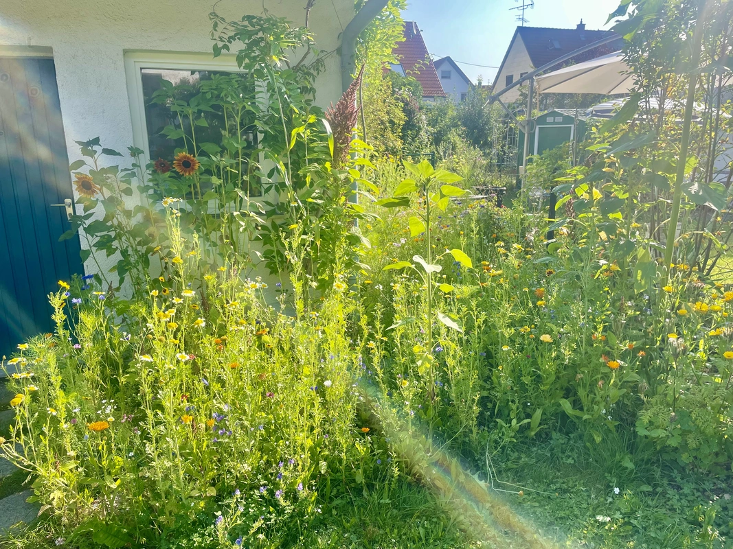 Wildgarten 5