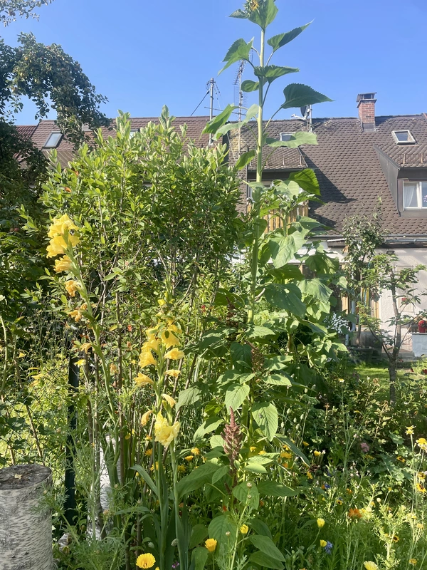 Wildgarten 8